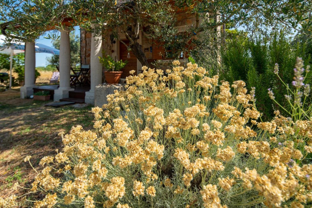 Villa Flaveico Pašman Exteriér fotografie